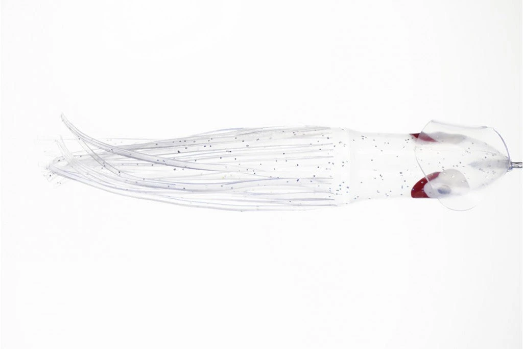 NORTH PACIFIC CUTTLEFISH B103 1 NORTH PACIFIC CUTTLEFISH B103