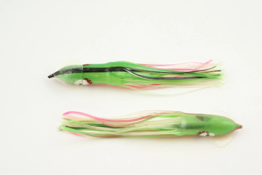 NORTH PACIFIC CUTTLEFISH GBOC105R 1 NORTH PACIFIC CUTTLEFISH GBOC105R