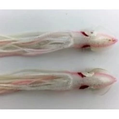 NORTH PACIFIC CUTTLEFISH M72W