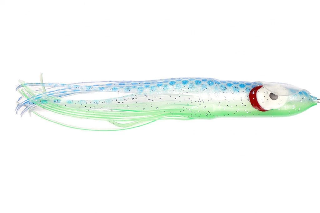 NORTH PACIFIC CUTTLEFISH AS28R 2 NORTH PACIFIC CUTTLEFISH AS28R