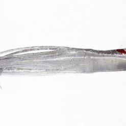 NORTH PACIFIC CUTTLEFISH AS73R Hoochies