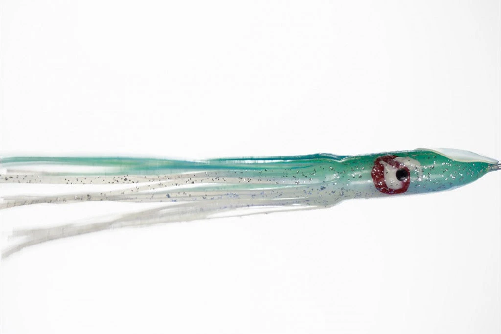 NORTH PACIFIC CUTTLEFISH G38W 2 NORTH PACIFIC CUTTLEFISH G38W