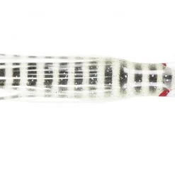 NORTH PACIFIC CUTTLEFISH YS47