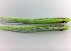 NORTH PACIFIC NEEDLE FISH G6 Hoochies