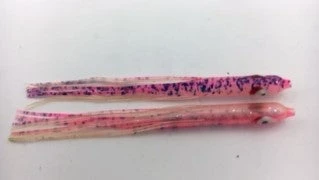 Hoochies NORTH PACIFIC NEEDLE FISH GBO146R 1 Hoochies NORTH PACIFIC NEEDLE FISH GBO146R