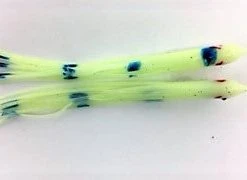 NORTH PACIFIC NEEDLE FISH GBO79