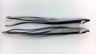 NORTH PACIFIC NEEDLE FISH GBOAX34R 1 NORTH PACIFIC NEEDLE FISH GBOAX34R