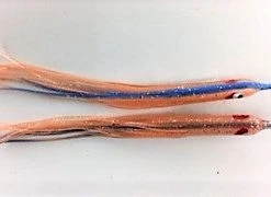 NORTH PACIFIC NEEDLE FISH LBM92