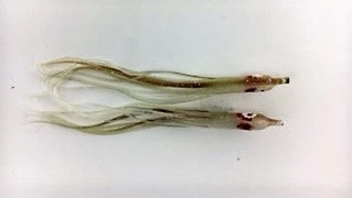 Hoochies NORTH PACIFIC NEEDLE FISH M89 1 Hoochies NORTH PACIFIC NEEDLE FISH M89