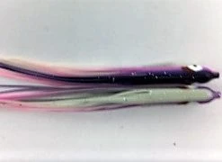 NORTH PACIFIC NEEDLE FISH OG138R