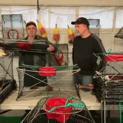 Jolly Good Large Stainless Steel Prawn/Crab Trap