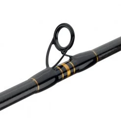 Penn Carnage II Boat Conventional Rod Rods/Reels