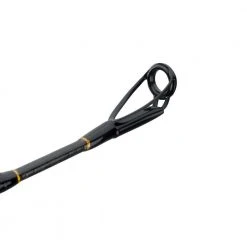 Penn Carnage II Boat Conventional Rod Rods/Reels