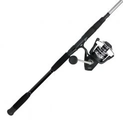 Penn Pursuit IV 10" Spin Combo With 8000 Reel